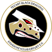 TecArt BlackDragons