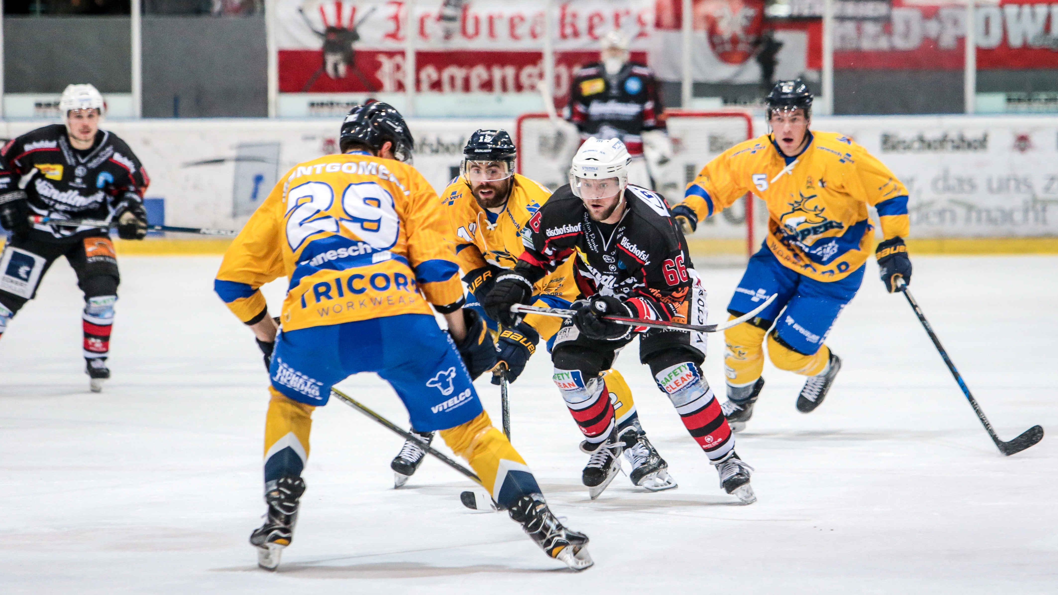 Eisbären Regensburg vs. Tilburg Trappers (2-4)