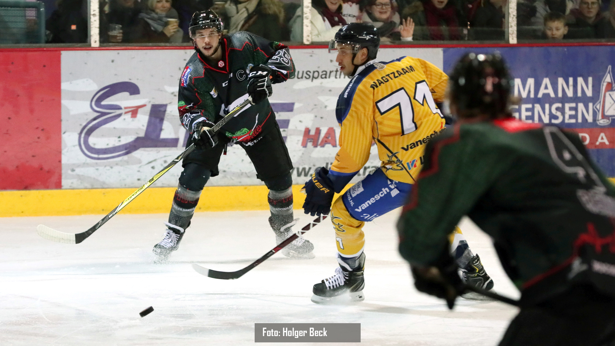 Crocodiles Hamburg vs. Tilburg Trappers (5-8)