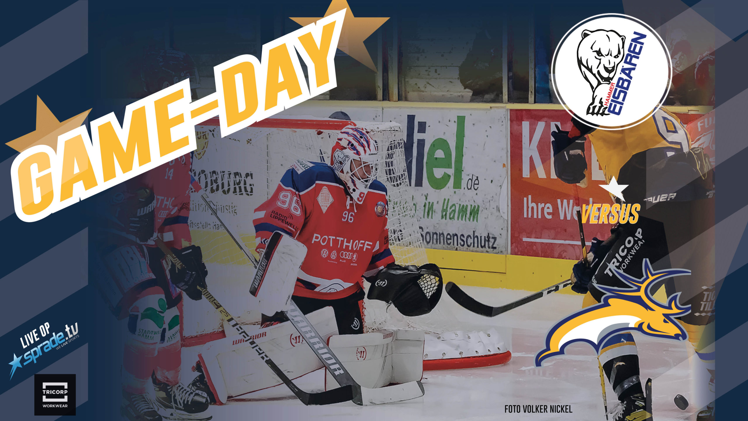 GAMEDAY: Hammer Eisbären vs. Tilburg Trappers