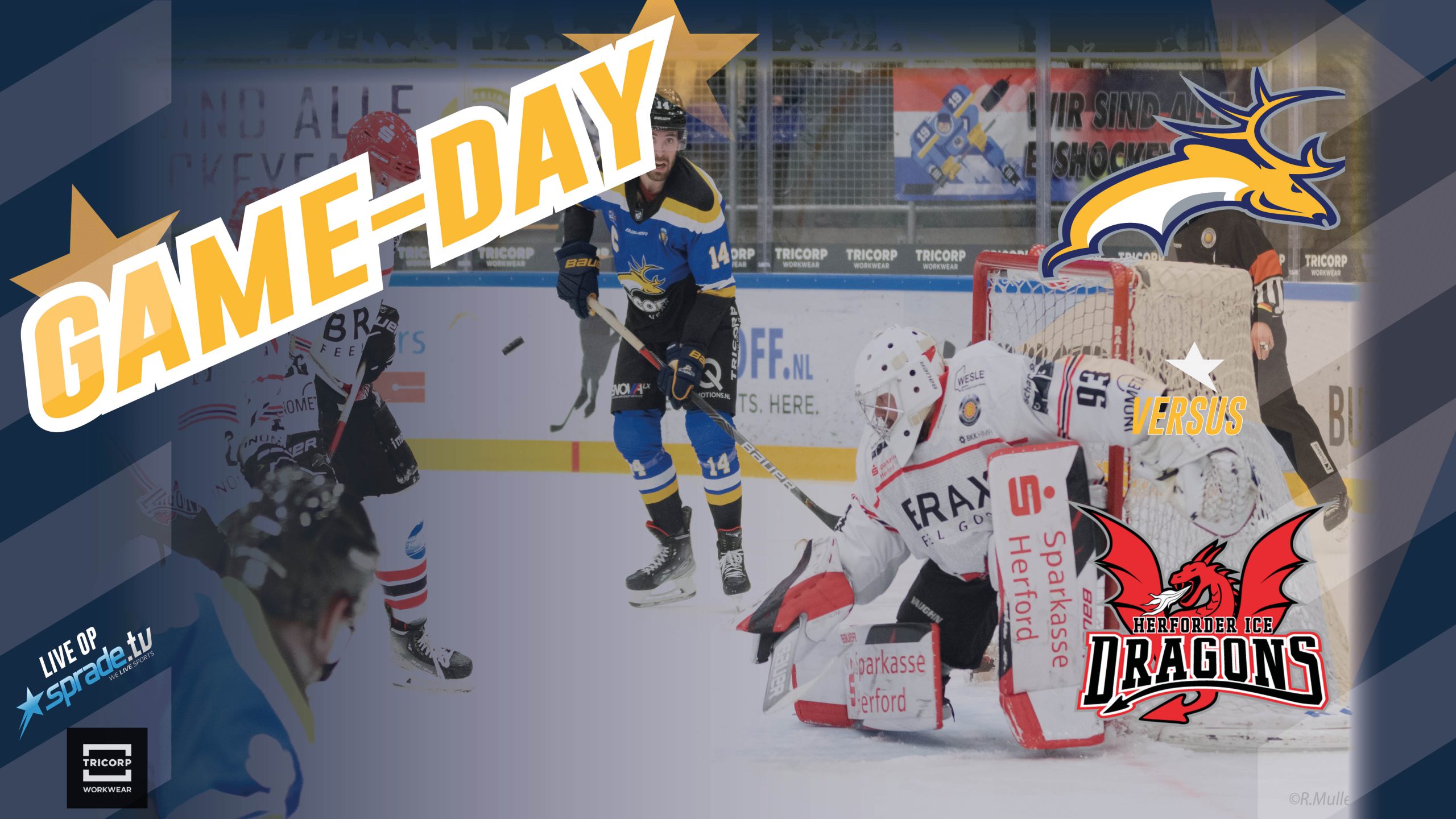 GAMEDAY: Tilburg Trappers vs. Herforder EV