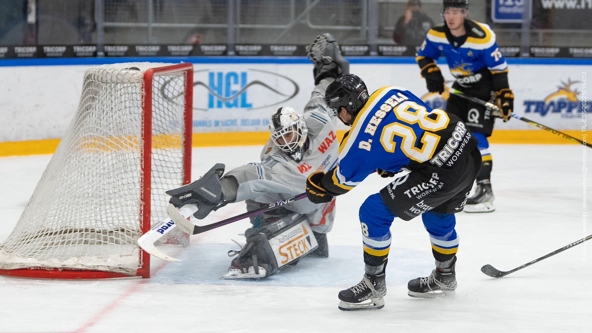 Tilburg Trappers vs. Moskitos Essen (8-2)