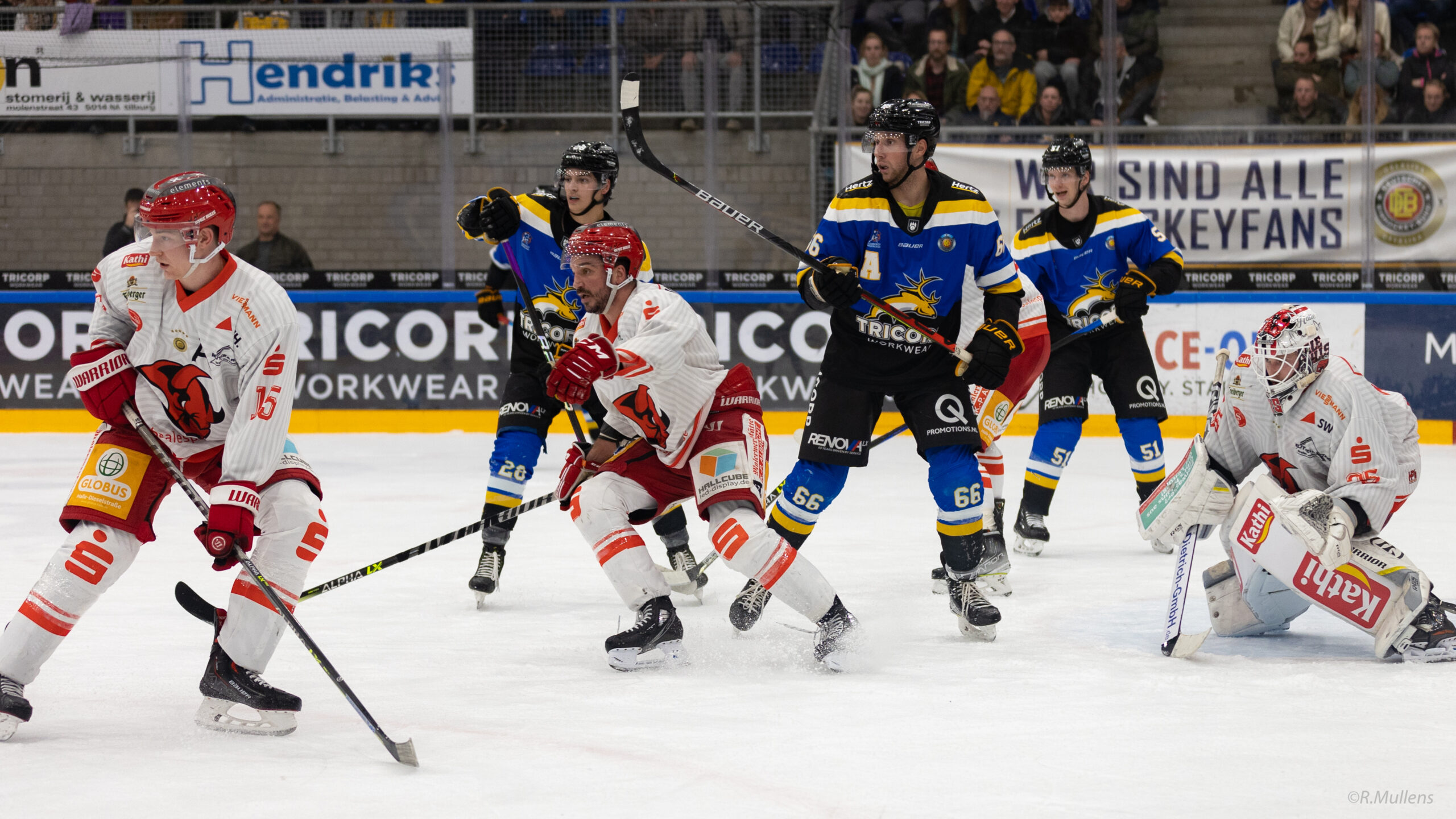 Tilburg Trappers vs. Saale Bulls Halle (0-3)