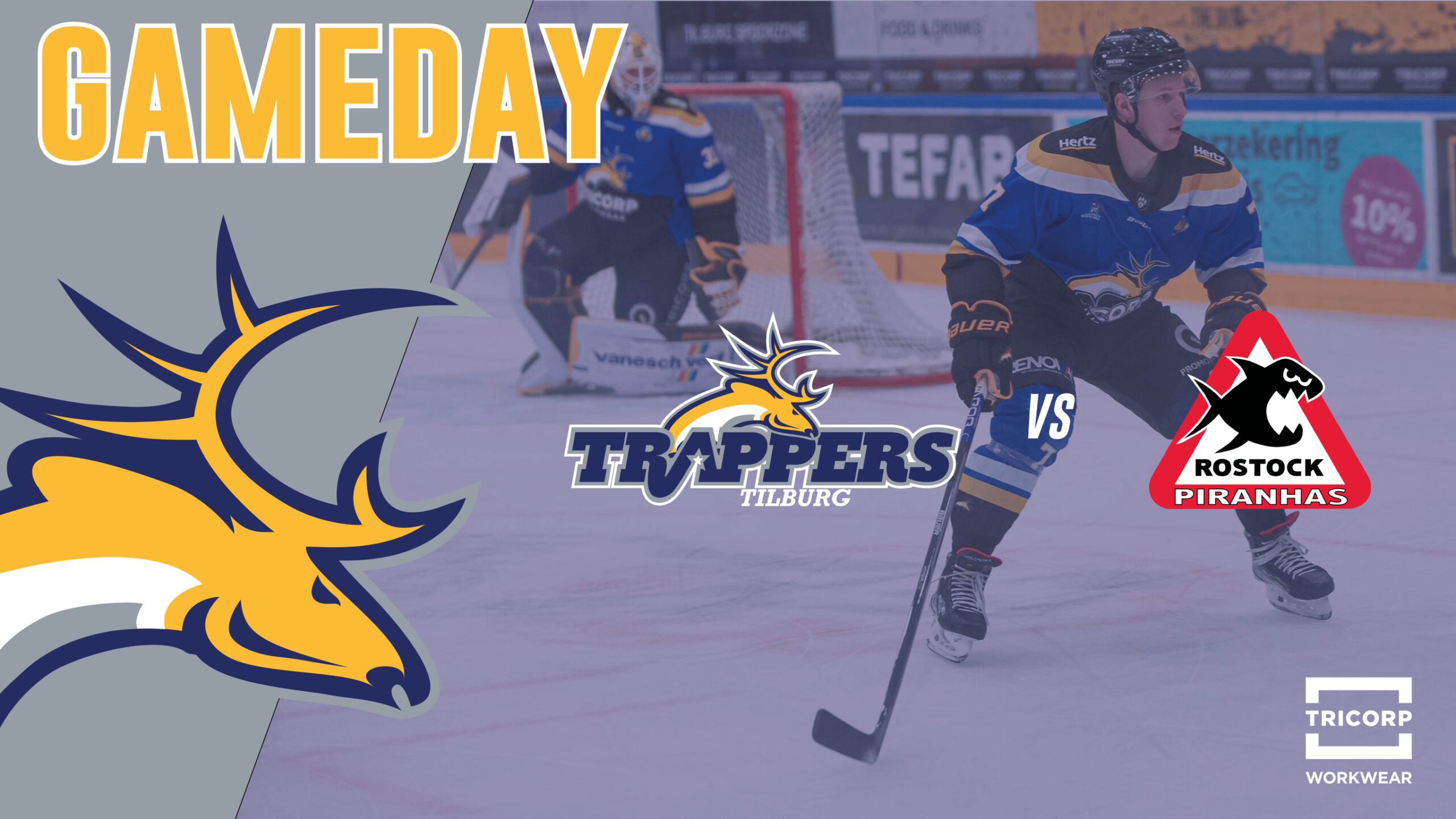 GAMEDAY: Tilburg Trappers vs. Rostock Piranhas