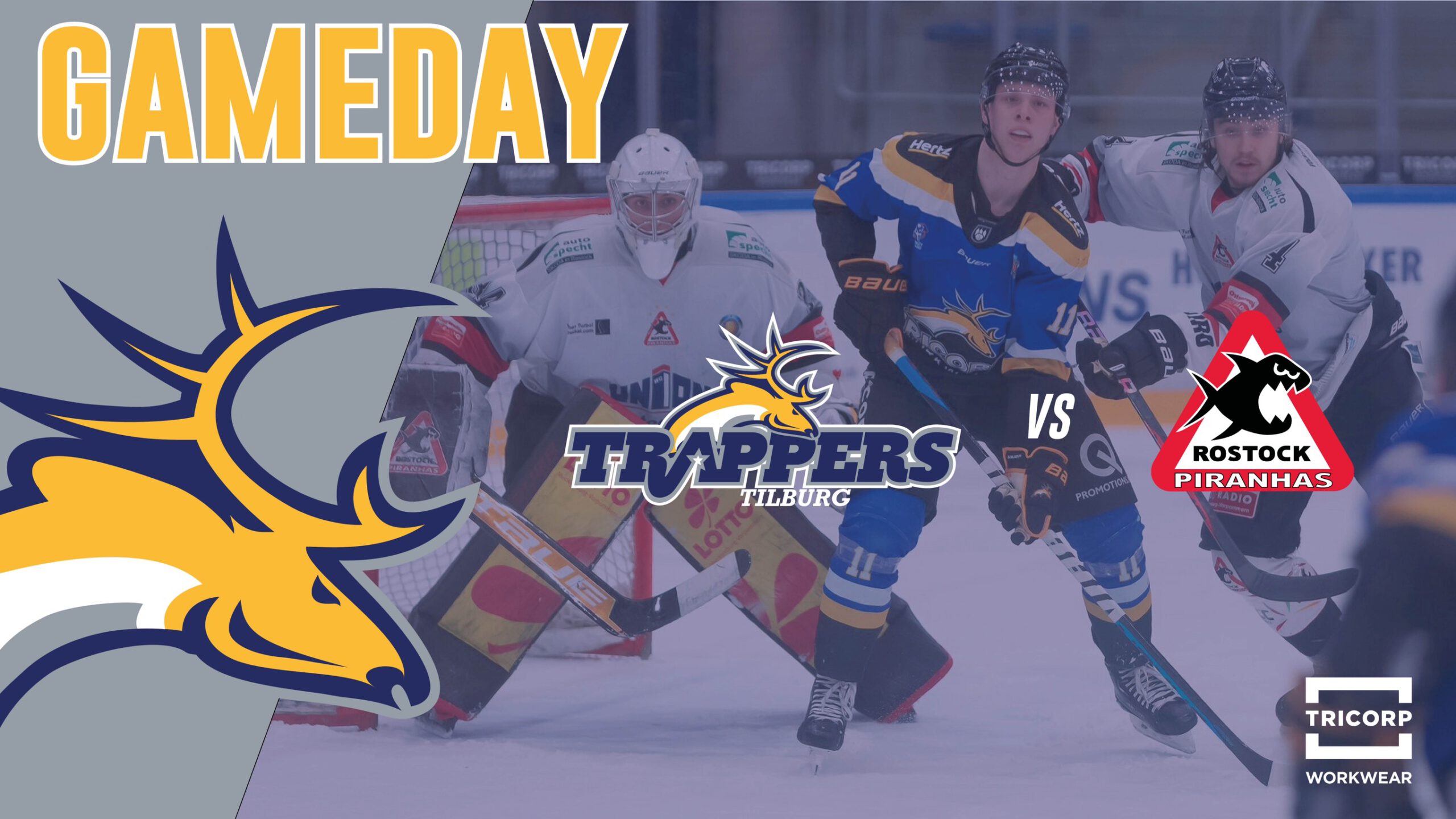 GAMEDAY: Tilburg Trappers vs. Rostock Piranhas