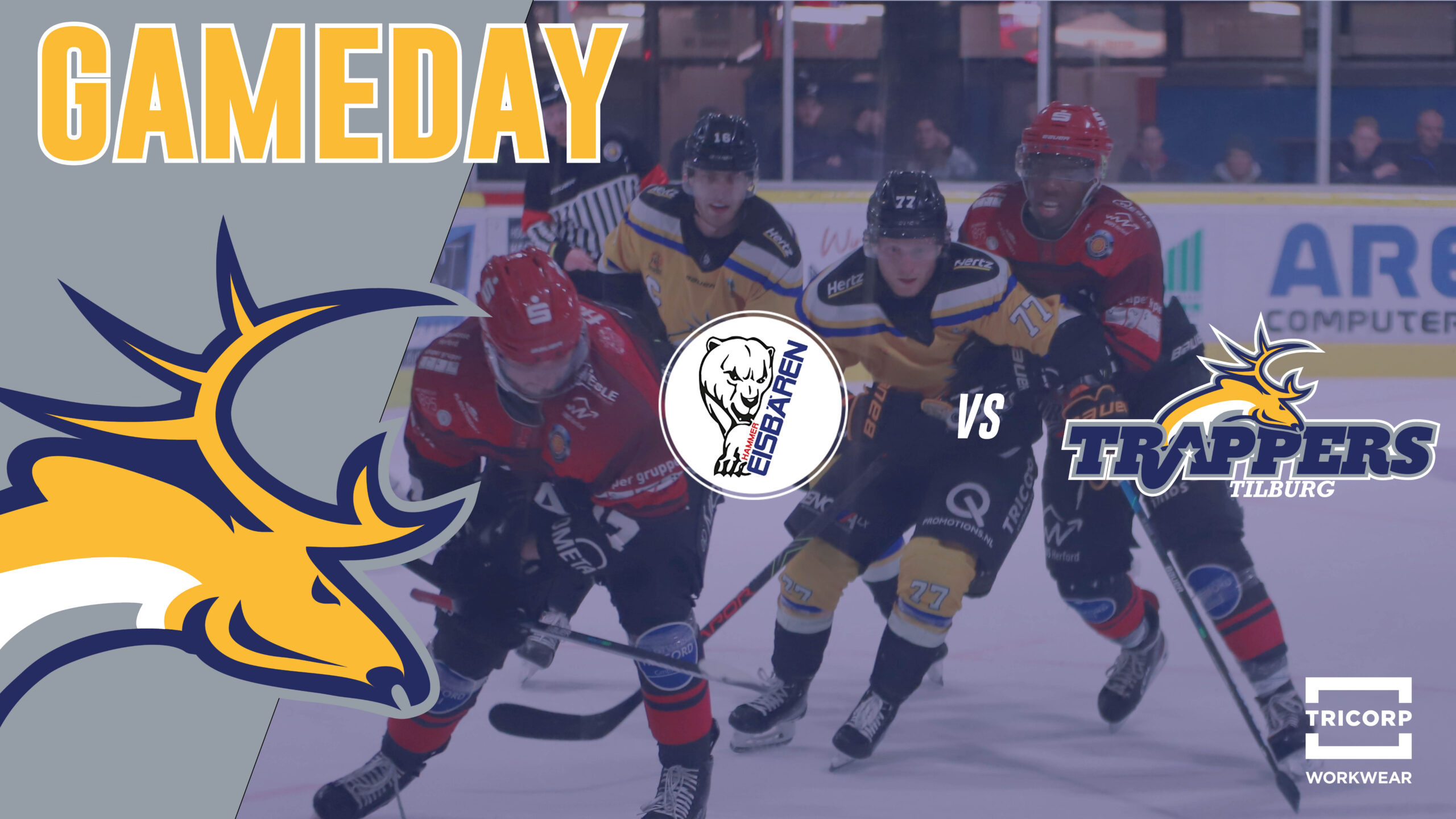 GAMEDAY: Hammer Eisbären vs. Tilburg Trappers