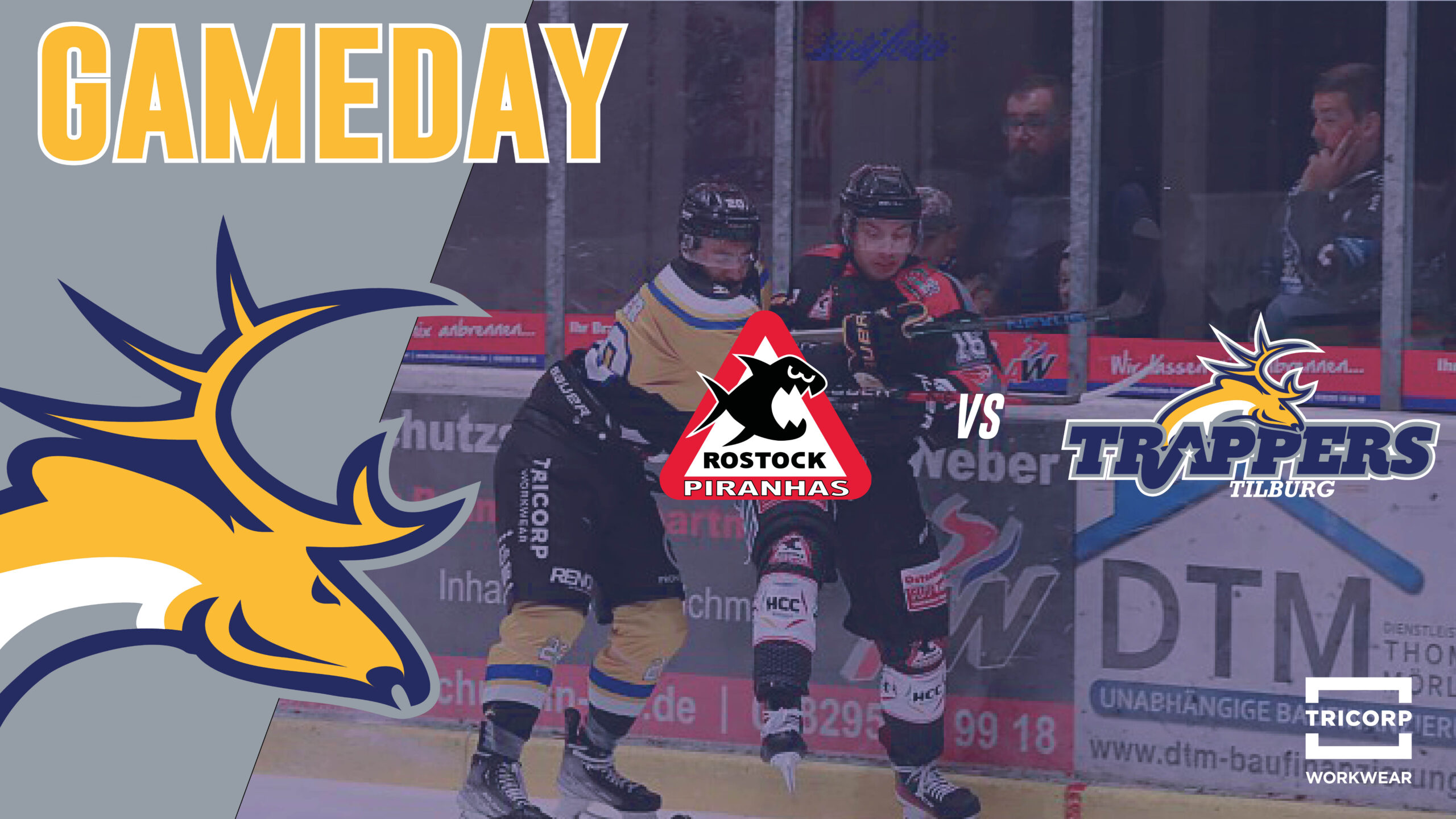 GAMEDAY: Rostock Piranhas vs. Tilburg Trappers