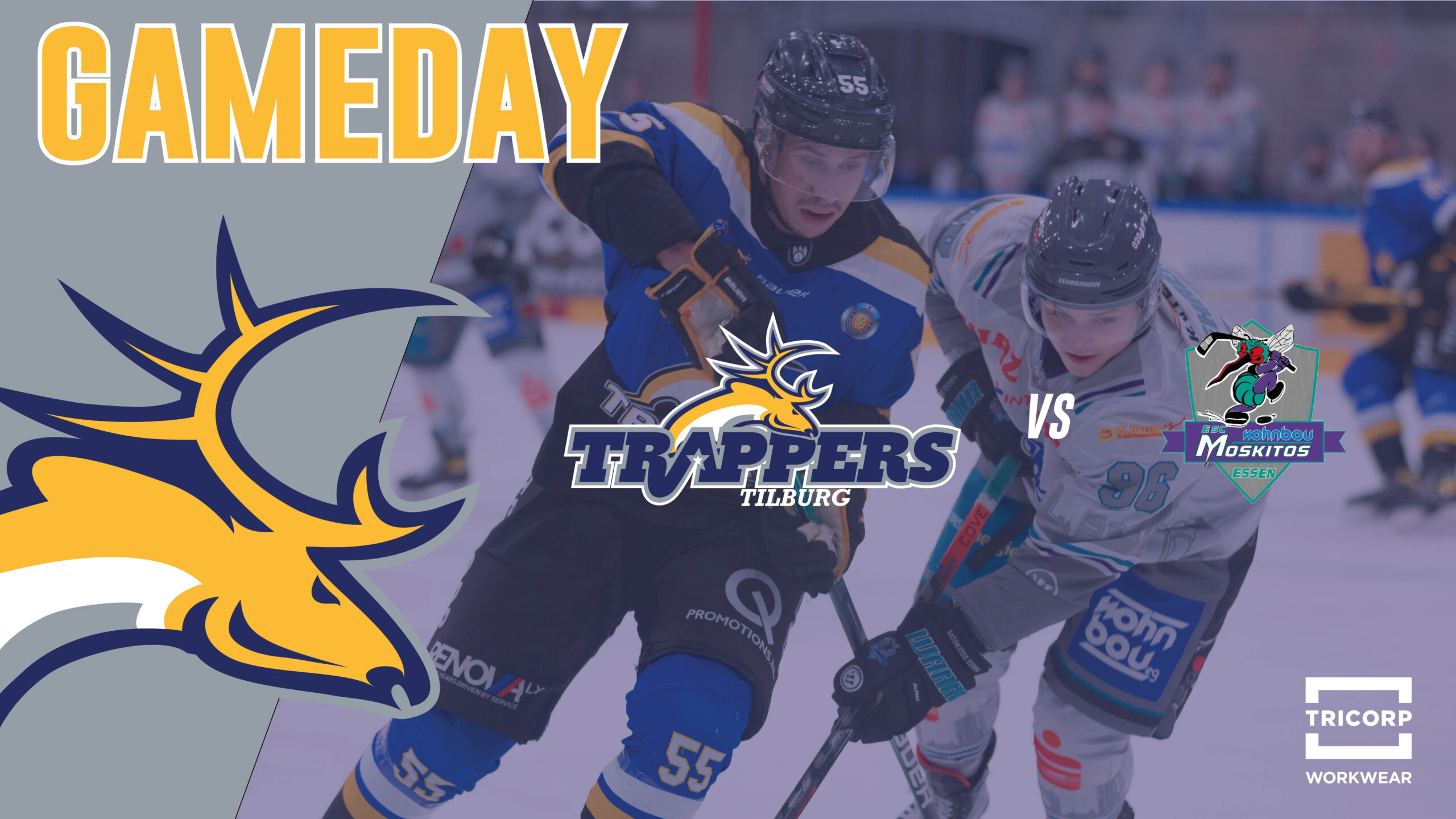 GAMEDAY: Tilburg Trappers vs. ESC Wohnbau Moskitos Essen