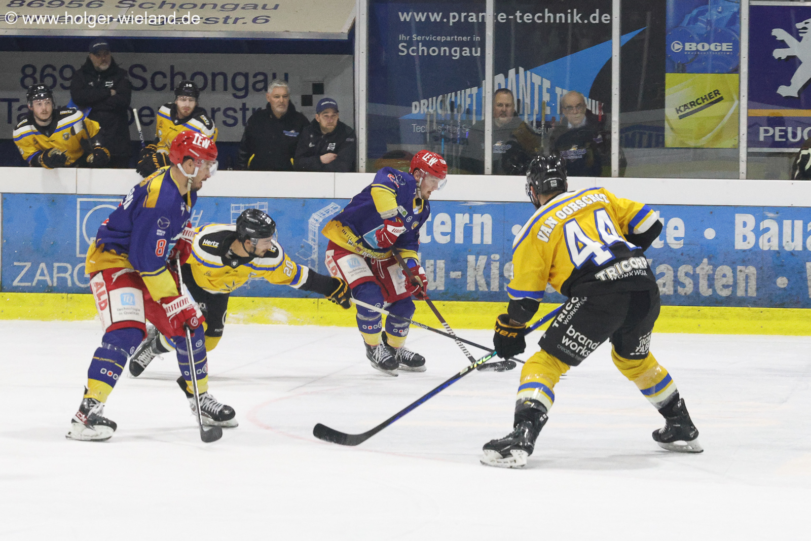 EC Peiting vs. Tilburg Trappers (4-2)