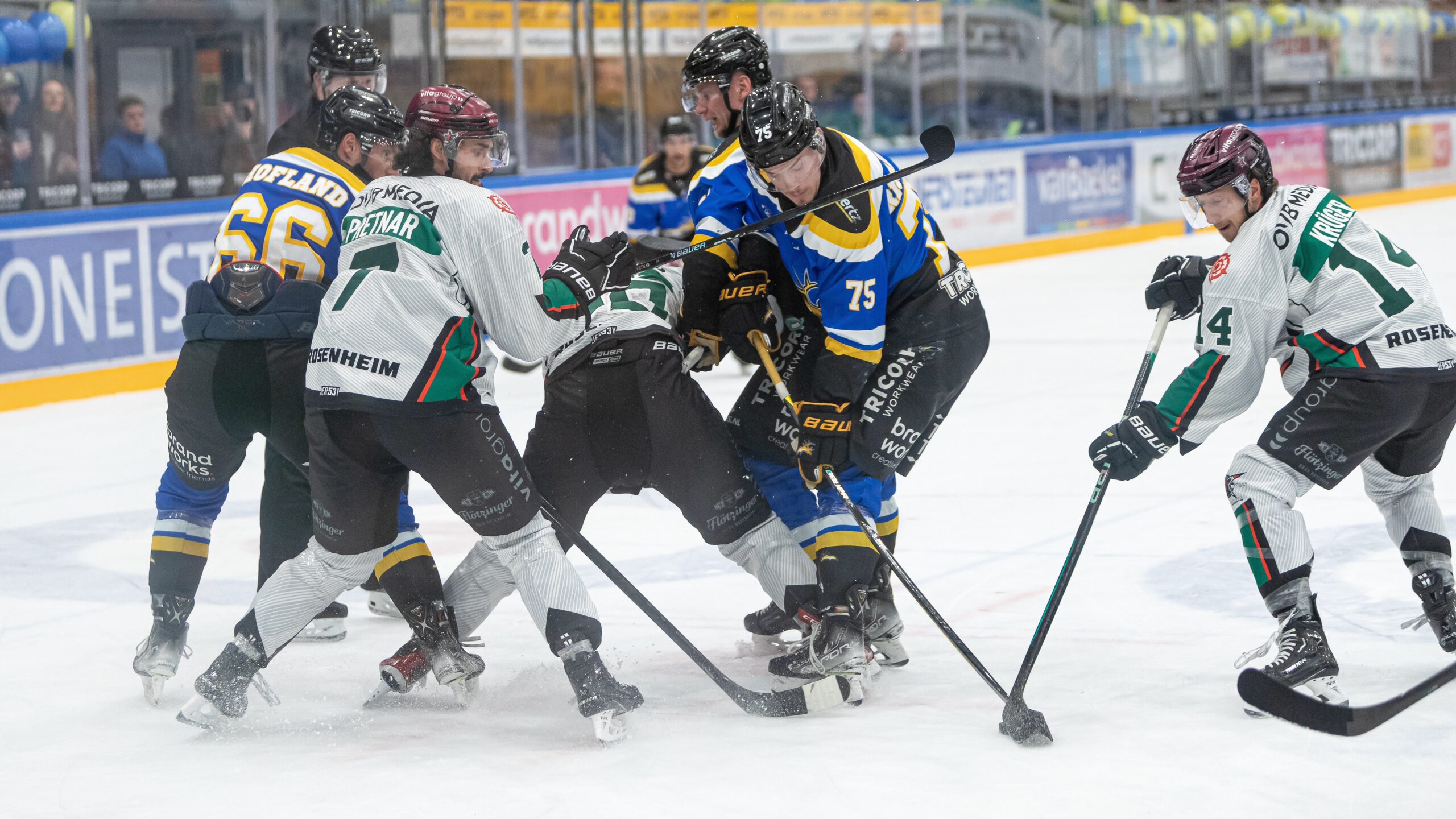 Tilburg Trappers vs. Starrbulls Rosenheim (2-3)