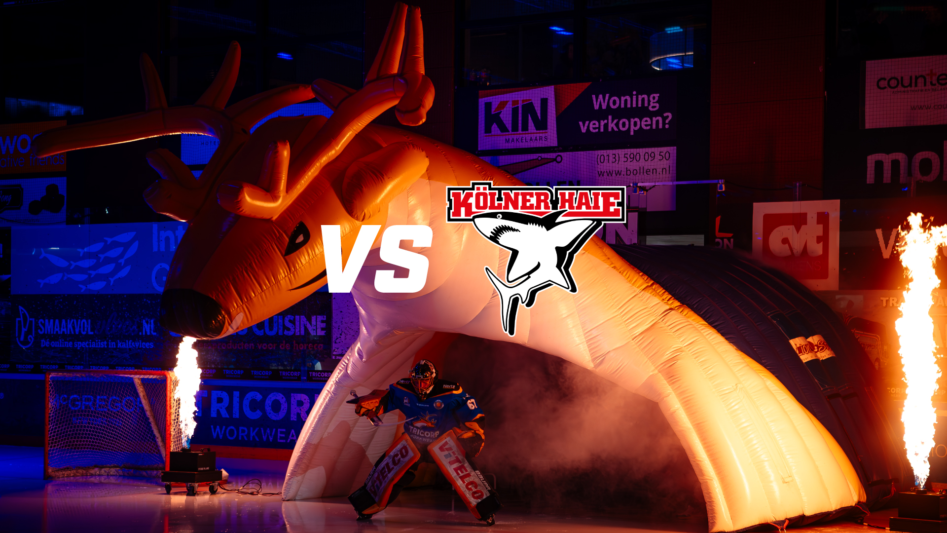 Tilburg Trappers ontvangt Duitse topclub Kölner Haie voor spectaculaire oefenwedstrijd!