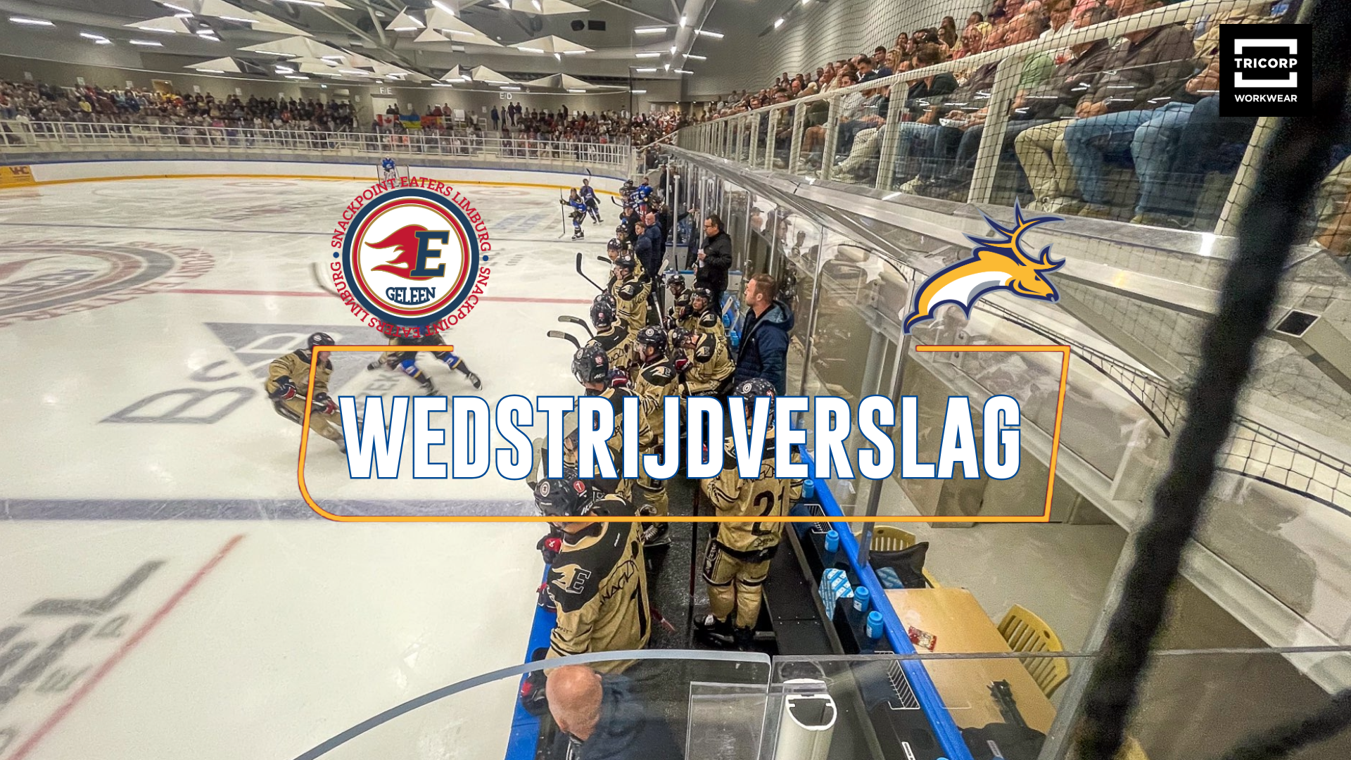 TRAPPERS NIET GROOTS, MAAR WINT WEL IN GELEEN