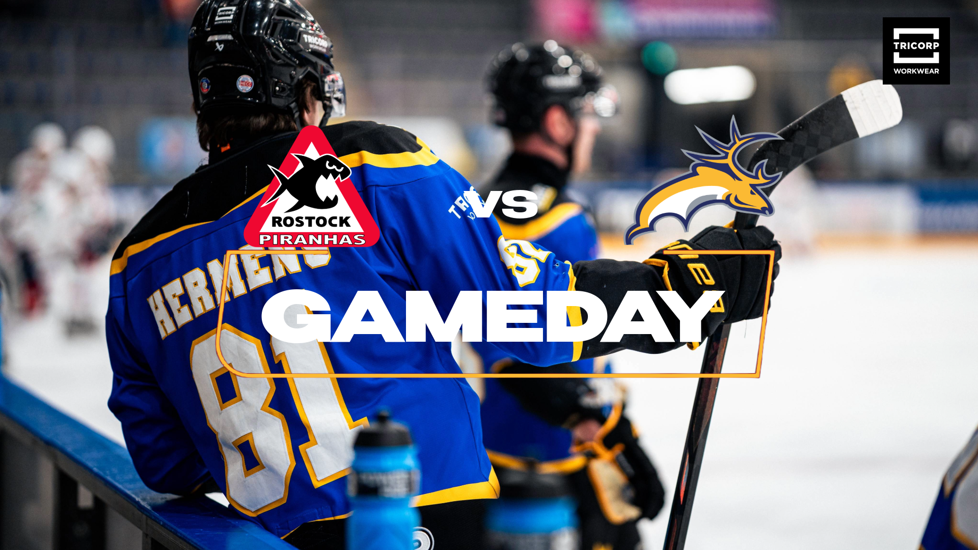 TRAPPERS AAST IN ROSTOCK OP VOLLE BUIT TEGEN ROOFVISSEN