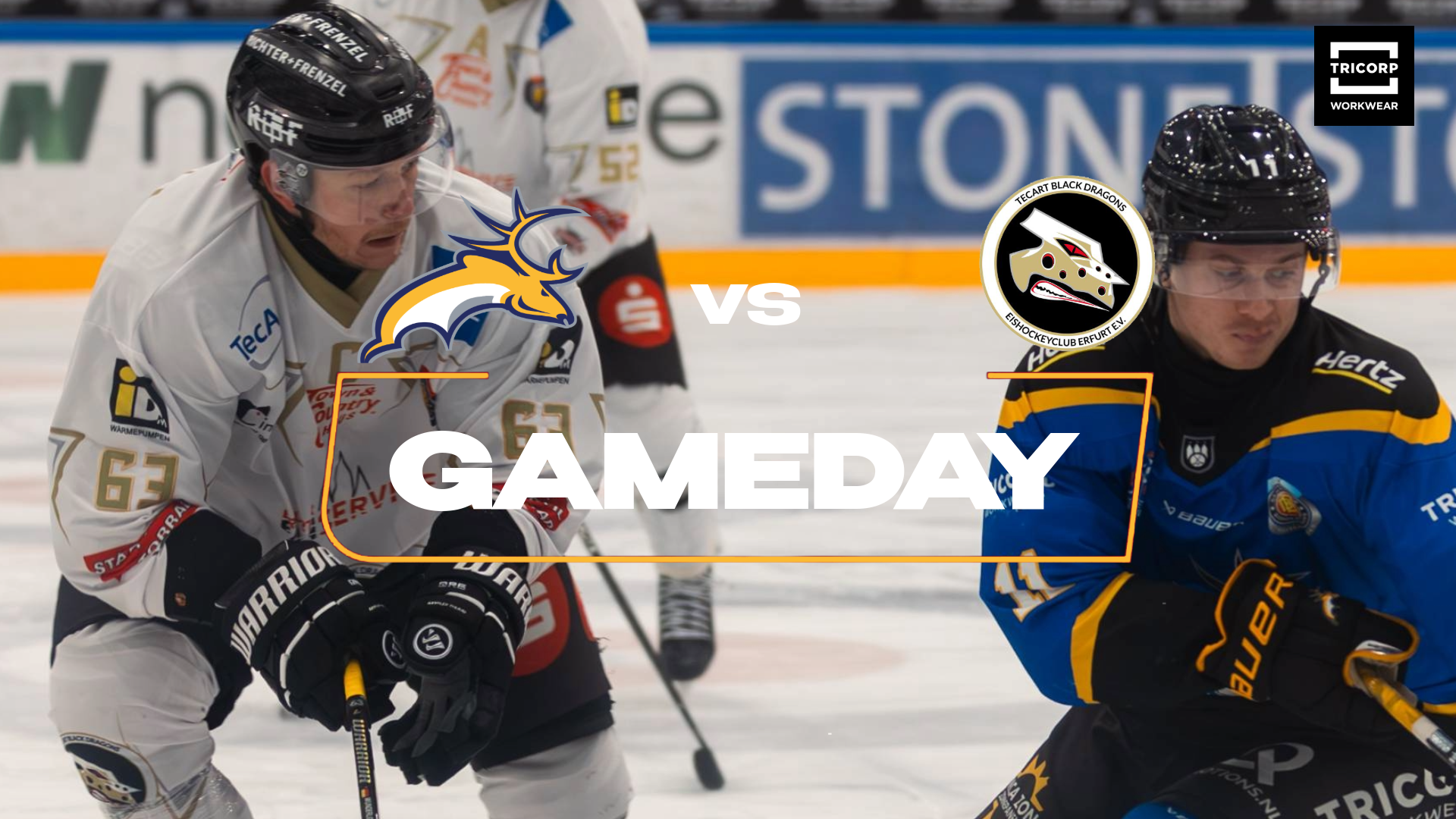 TRAPPERS WIL TEGEN ERFURT VERDER OP INGESLAGEN WEG