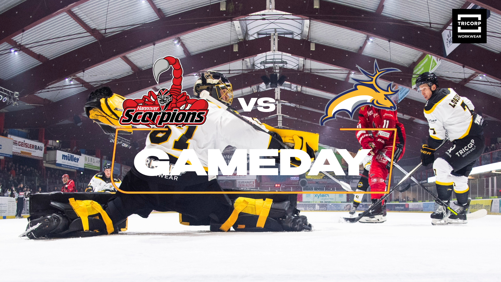 Vertrouwen sleutelwoord in duel Scorpions