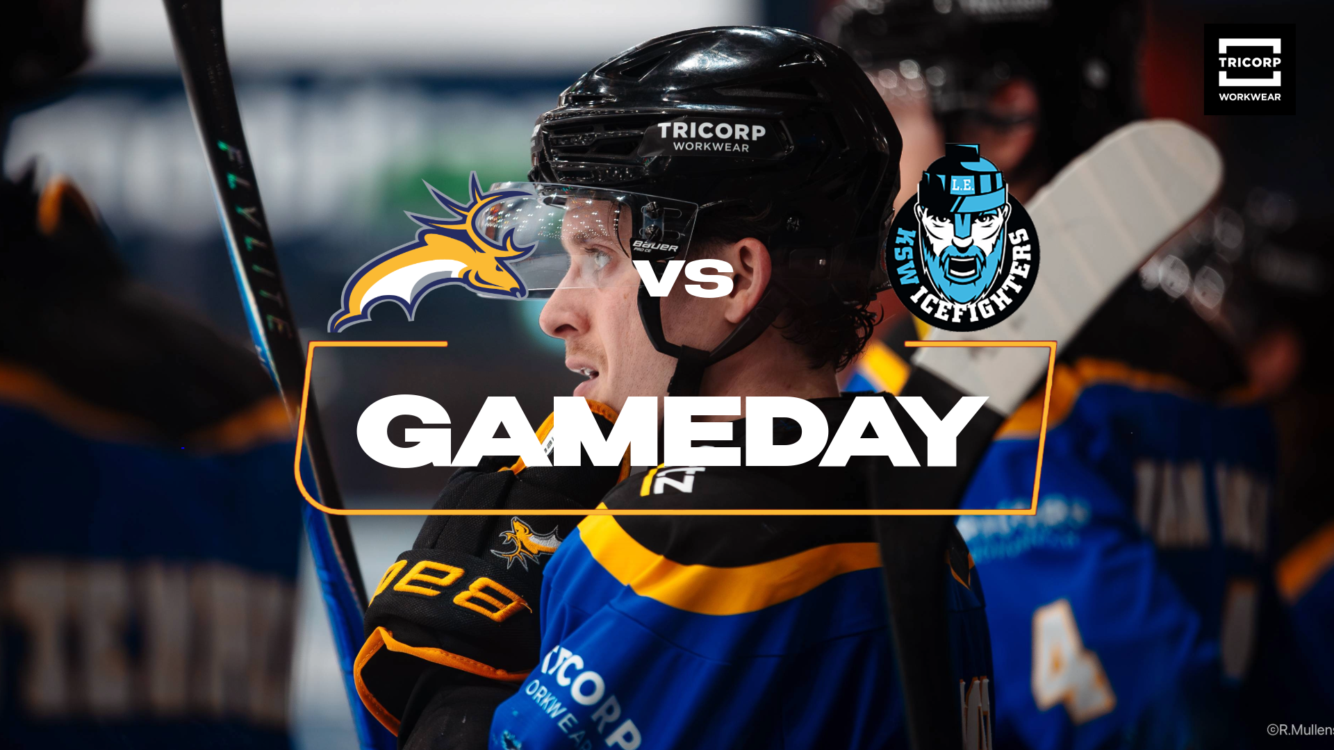 Trick or treat tegen IceFighters Leipzig