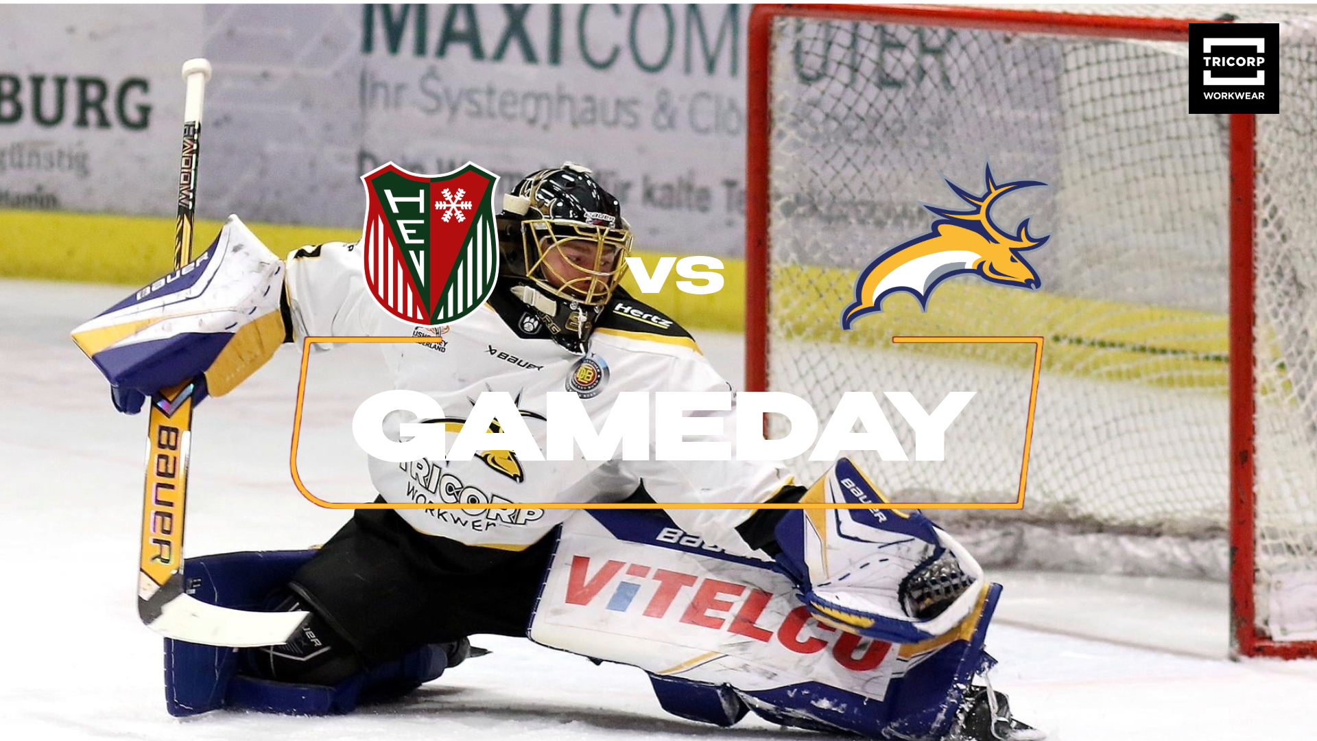 Herne zint vanavond op revanche tegen Tilburg Trappers