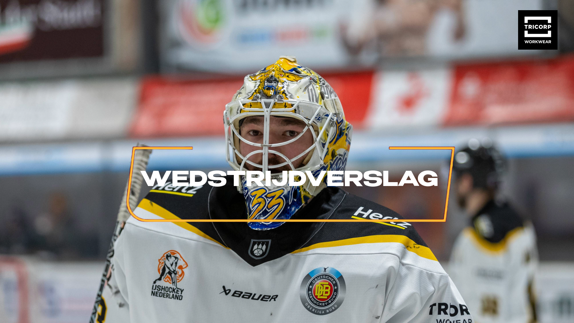 LEEUWESTEIJN EN LEEUWENMOED IS BETER DAN EEN STERKER HALLE