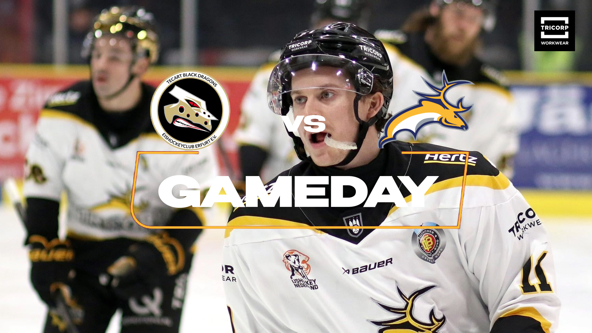 TRAPPERS VOL PERSPECTIEF HET NIEUWE JAAR IN