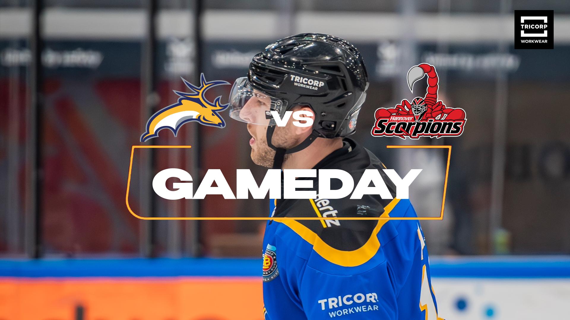 TRAPPERS KAN MOOIE SLAG SLAAN