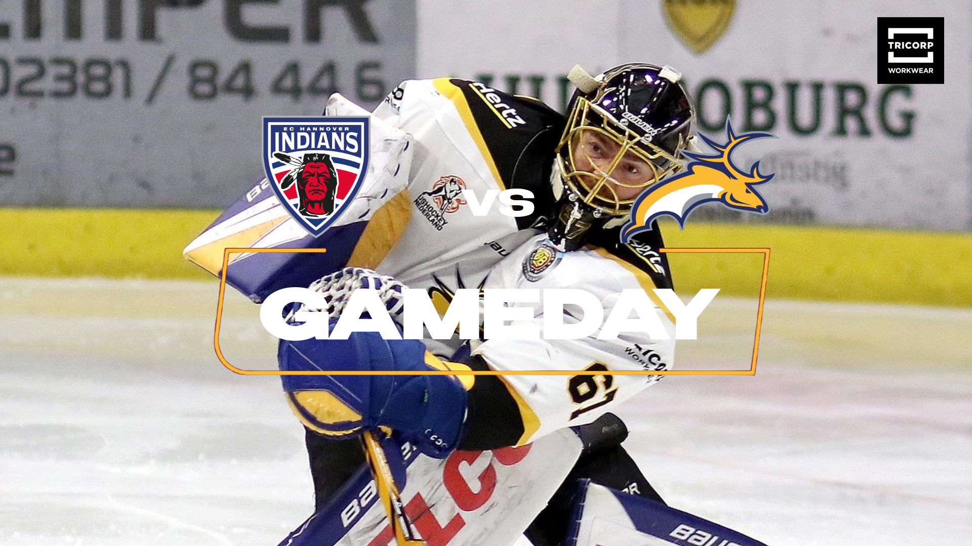 TRAPPERS KAN SPANNING OM TITEL VOLLEDIG TERUGBRENGEN