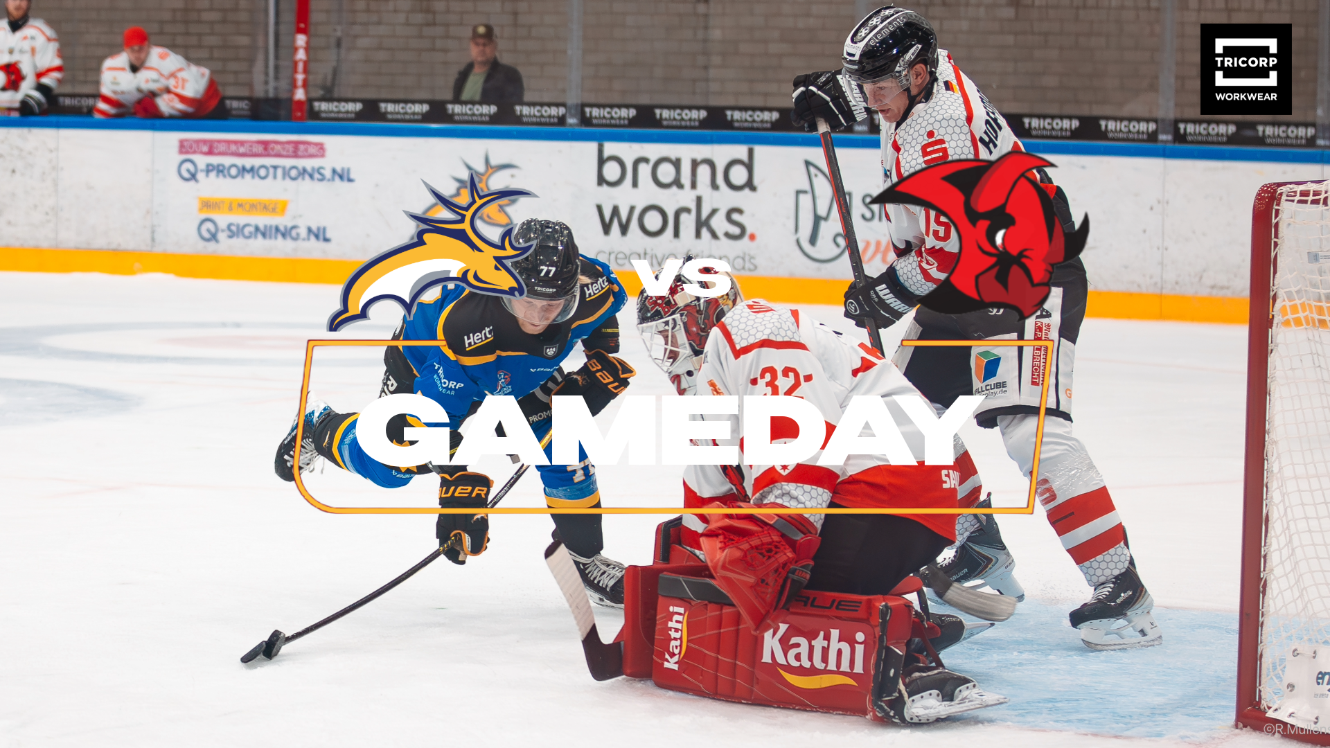 Trappers bereidt zich voor tegen ‘nooit makkelijke’ Saale Bulls Halle