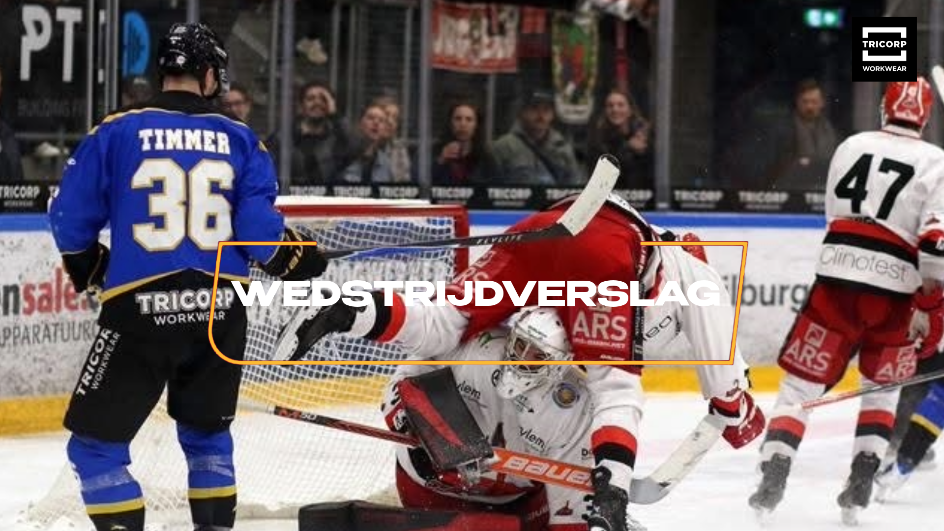 TRAPPERS ZIET ZEGEREEKSEN STRANDEN TEGEN SCORPIONS